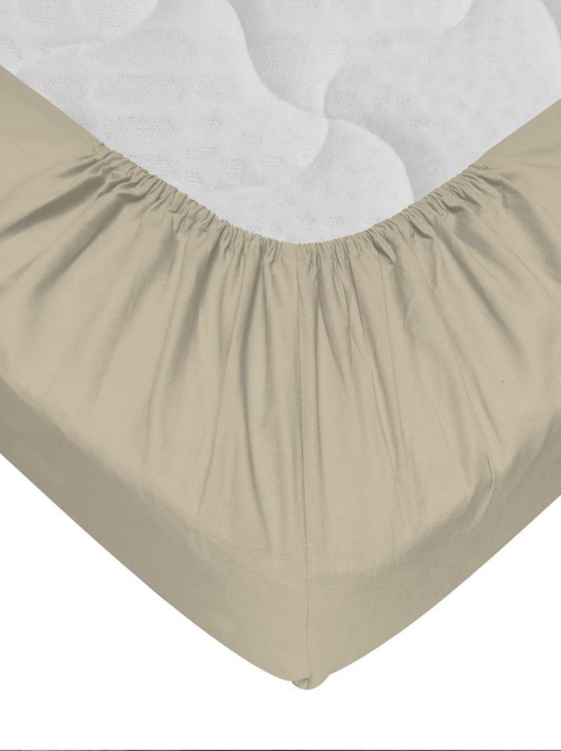Drap-housse 100% coton 57 Fils - Bonnet 30 cm Beige sable - Kiabi