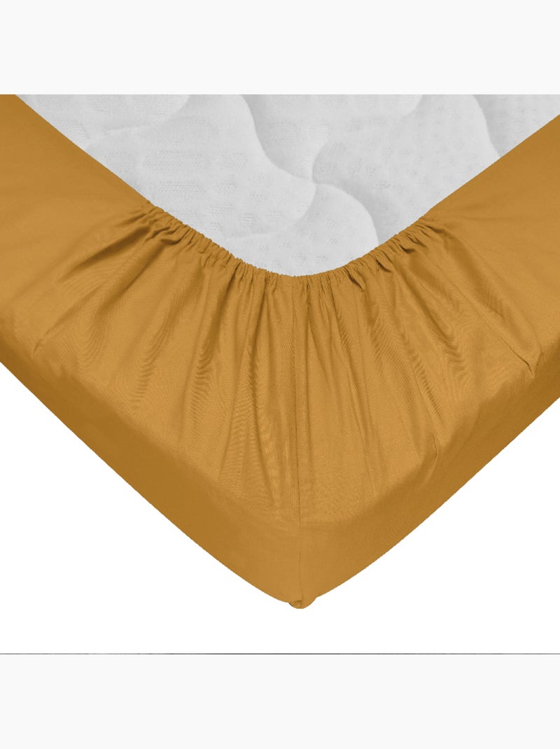 Drap-housse 100% coton 57 Fils - Bonnet 30 cm Safran - Kiabi