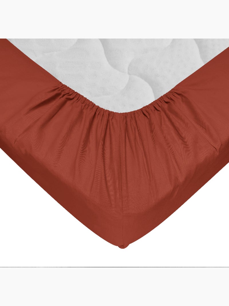 Drap-housse 100% coton 57 Fils - Bonnet 30 cm Tomette - Kiabi
