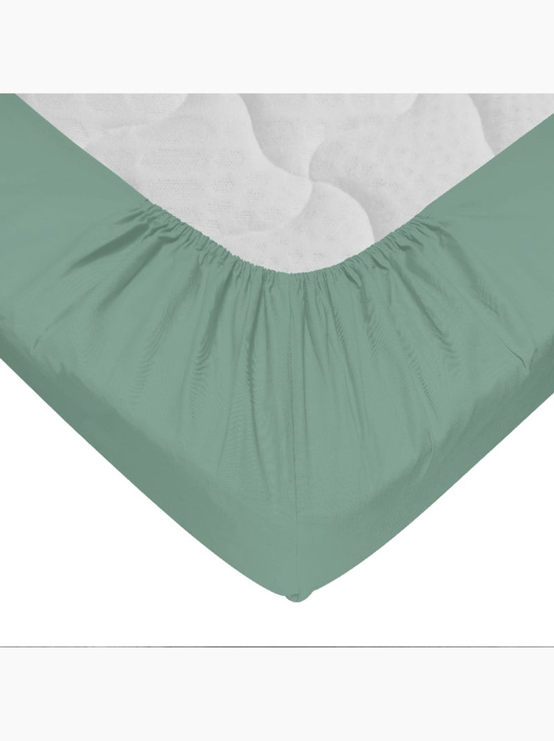 Drap-housse 100% coton 57 Fils - Bonnet 30 cm Vert tilleul - Kiabi
