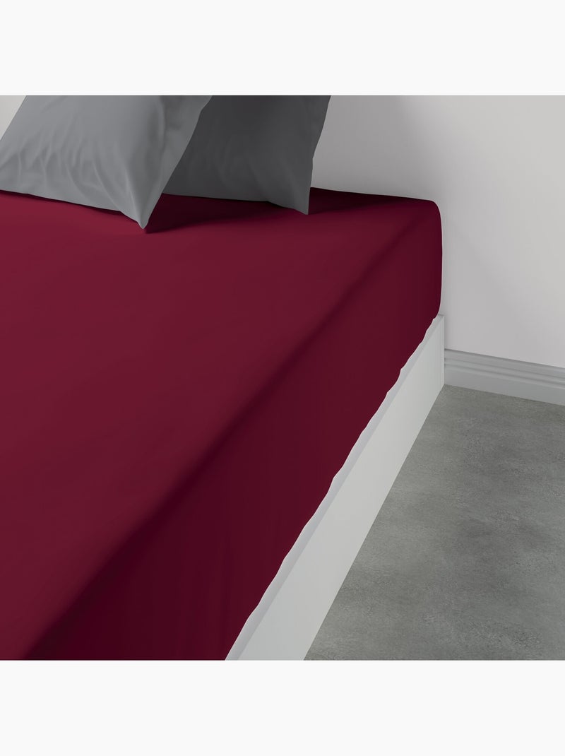 Drap housse 100 % coton oli Cerise - Kiabi