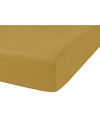 Drap housse 100 % coton oli