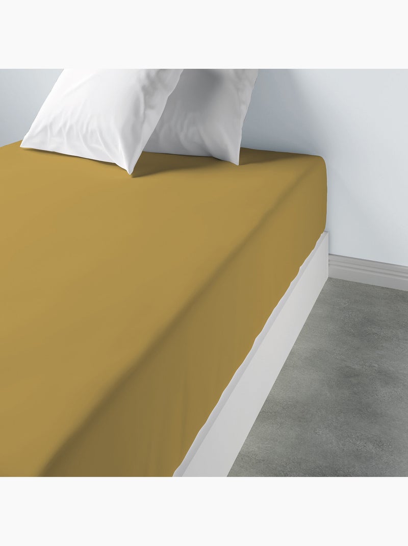 Drap housse 100 % coton oli Gold - Kiabi