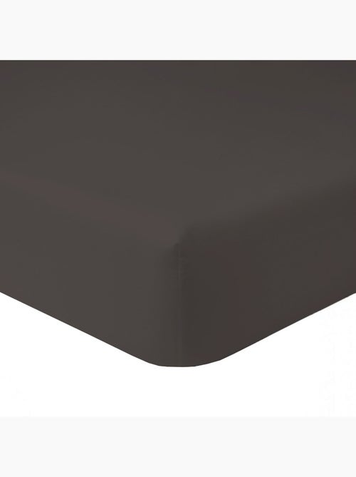 Drap housse 100 % coton oli - Kiabi