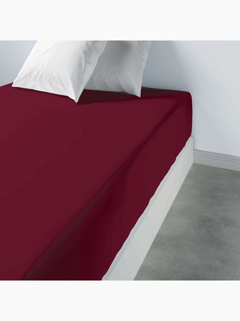 Drap housse 100 % coton oli Rouge - Kiabi