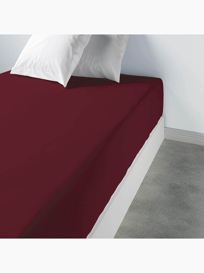 Drap housse 100 % coton oli Rouge - Kiabi