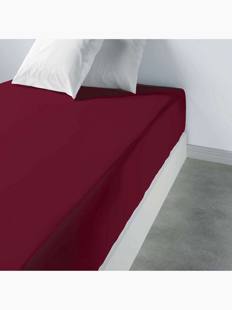 Drap housse 100 % coton oli Rouge grenat - Kiabi