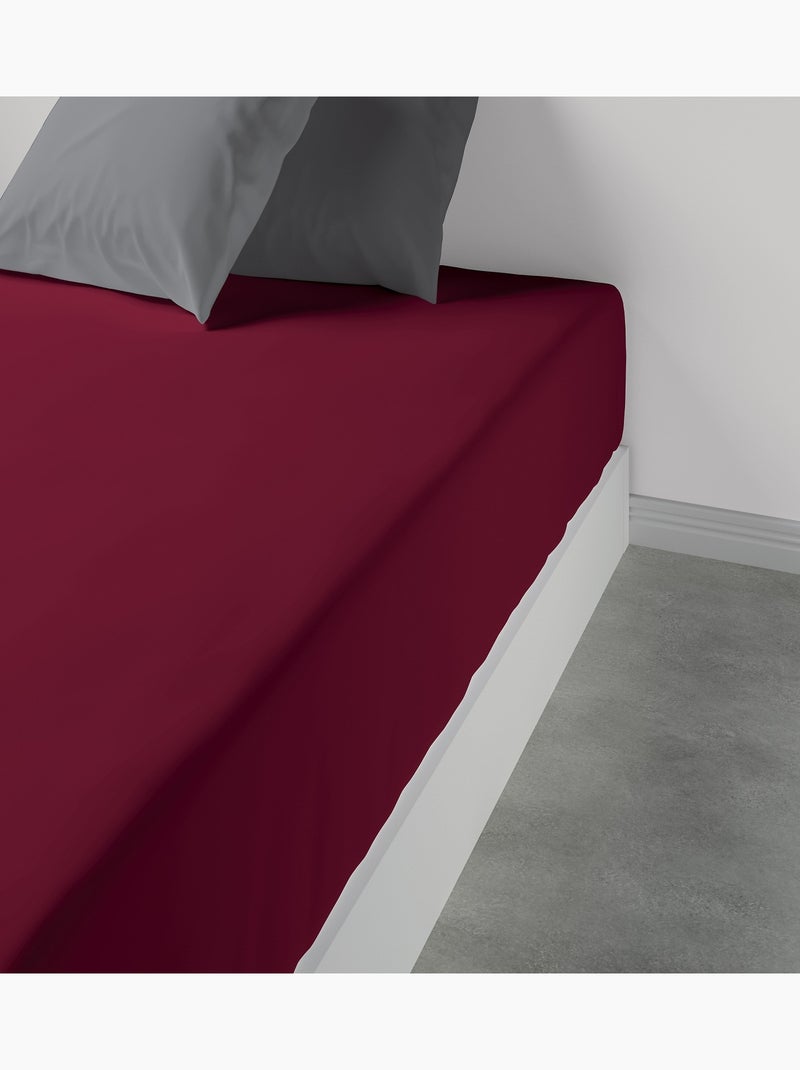 Drap housse 100 % coton oli Rouge grenat - Kiabi