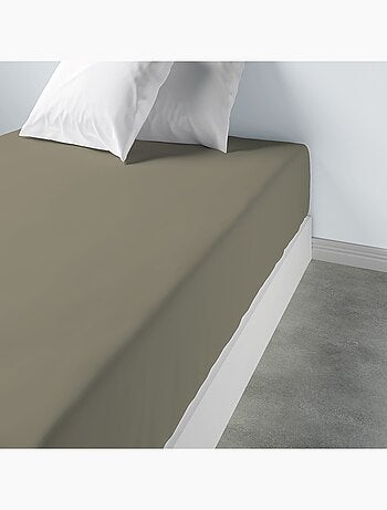 Drap housse 100 % coton oli