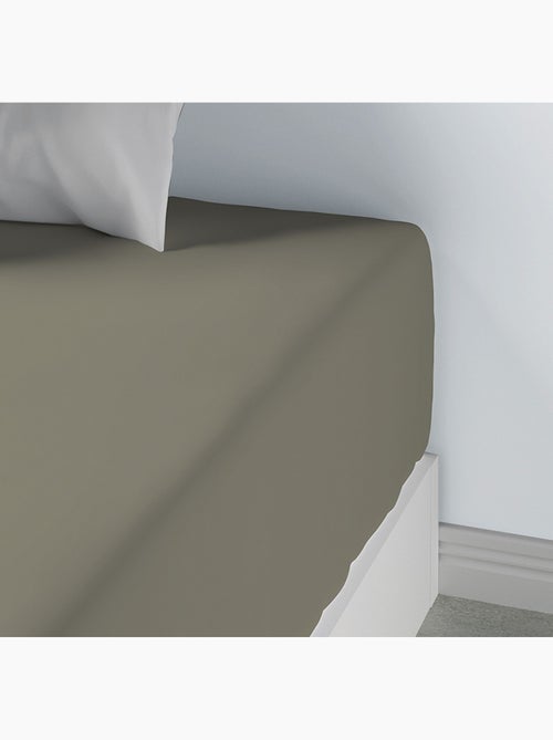 Drap housse 100 % coton oli - Kiabi Drap housse 100 % coton oli - Kiabi