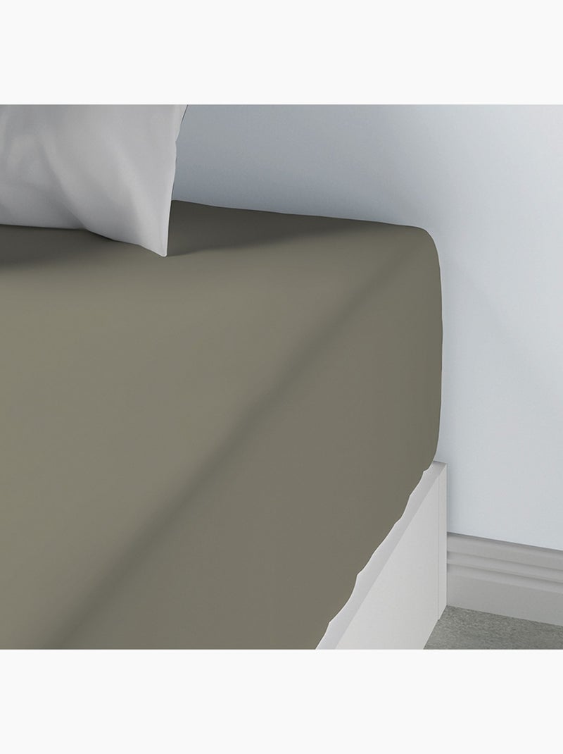 Drap housse 100 % coton oli Vert cèdre - Kiabi