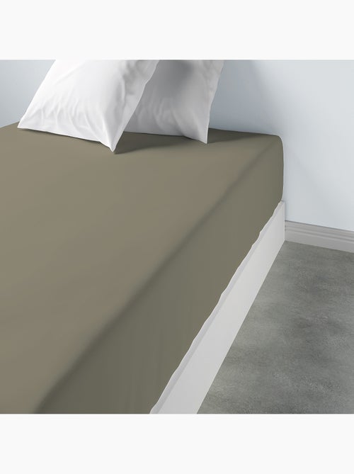 Drap housse 100 % coton oli - Kiabi Drap housse 100 % coton oli - Kiabi