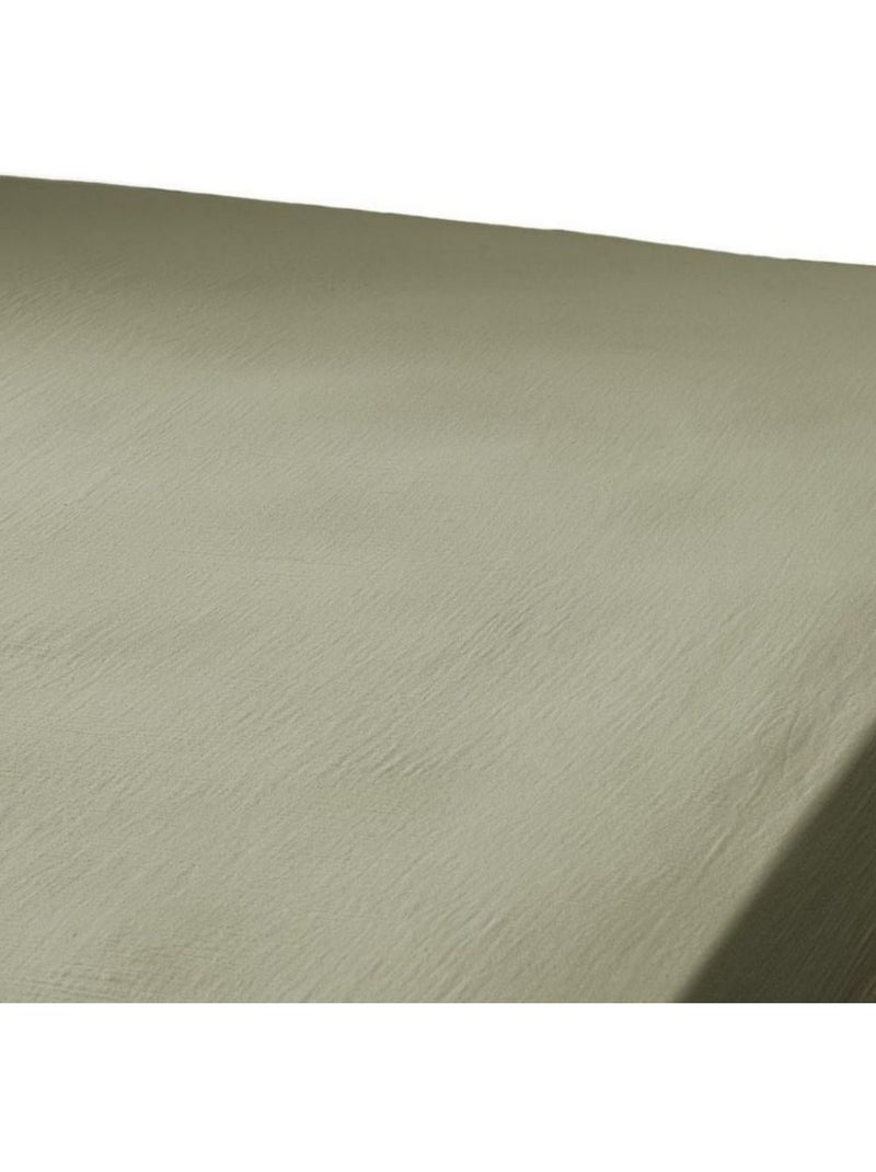 Drap housse 100% Gaze de Coton 74 fils Kaki - Kiabi