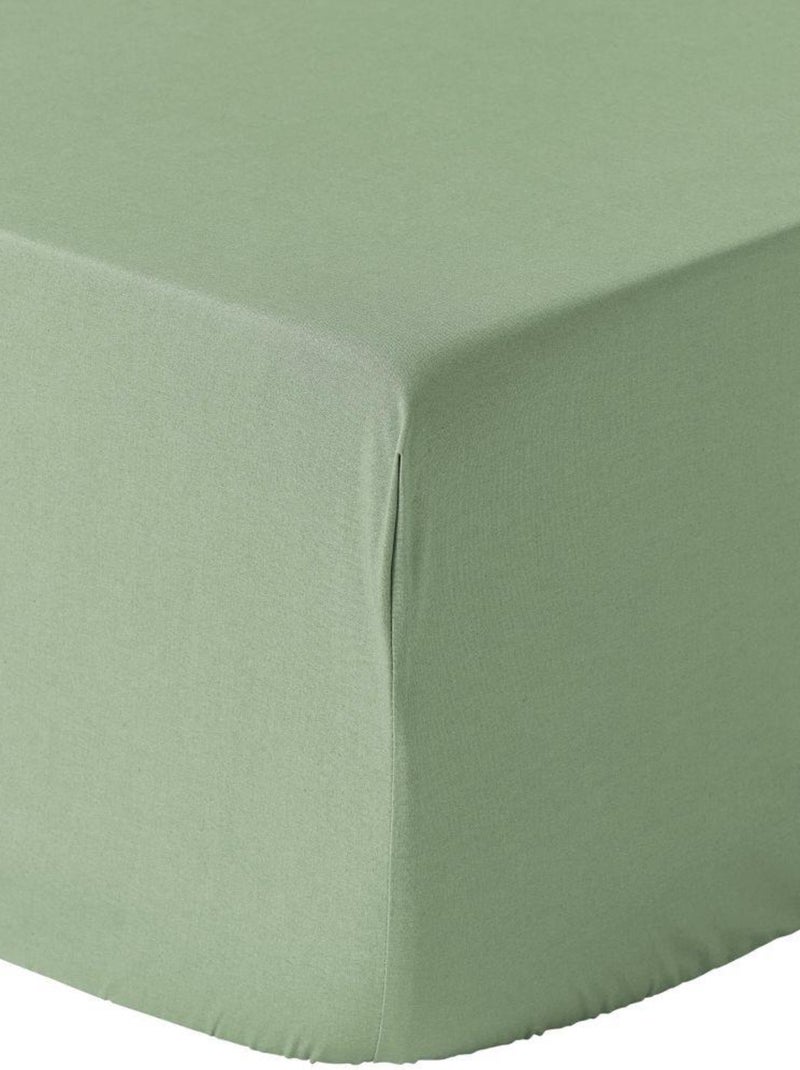 Drap housse 100% Percale de Coton 80 fils Vert - Kiabi