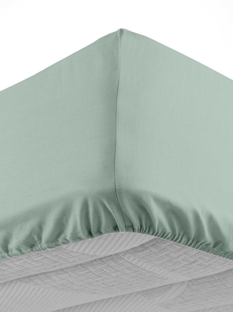 DRAP HOUSSE 2 PERSONNES UNI 57 FILS LINA SAUGE Vert - Kiabi
