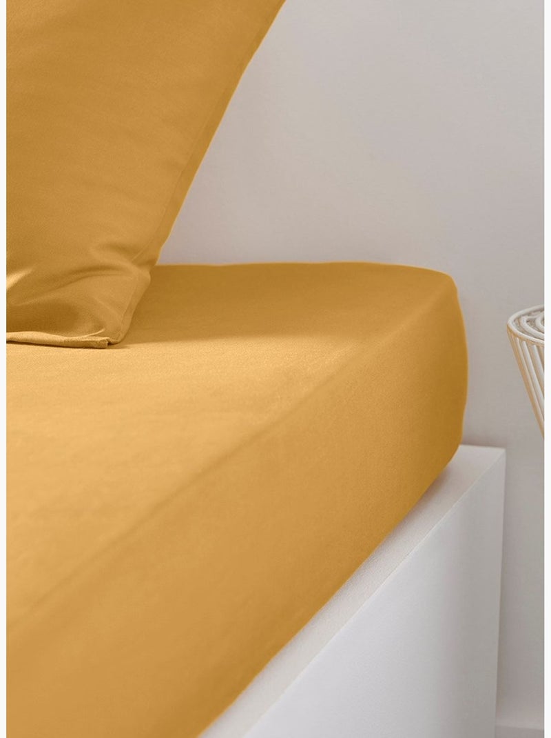 Drap housse 2 personnes uni coton ESSENTIAL Jaune - Kiabi