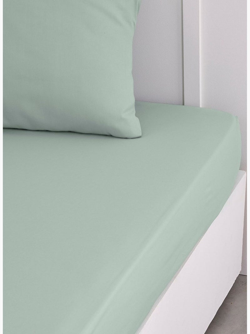Drap housse 2 personnes uni coton ESSENTIAL Vert - Kiabi