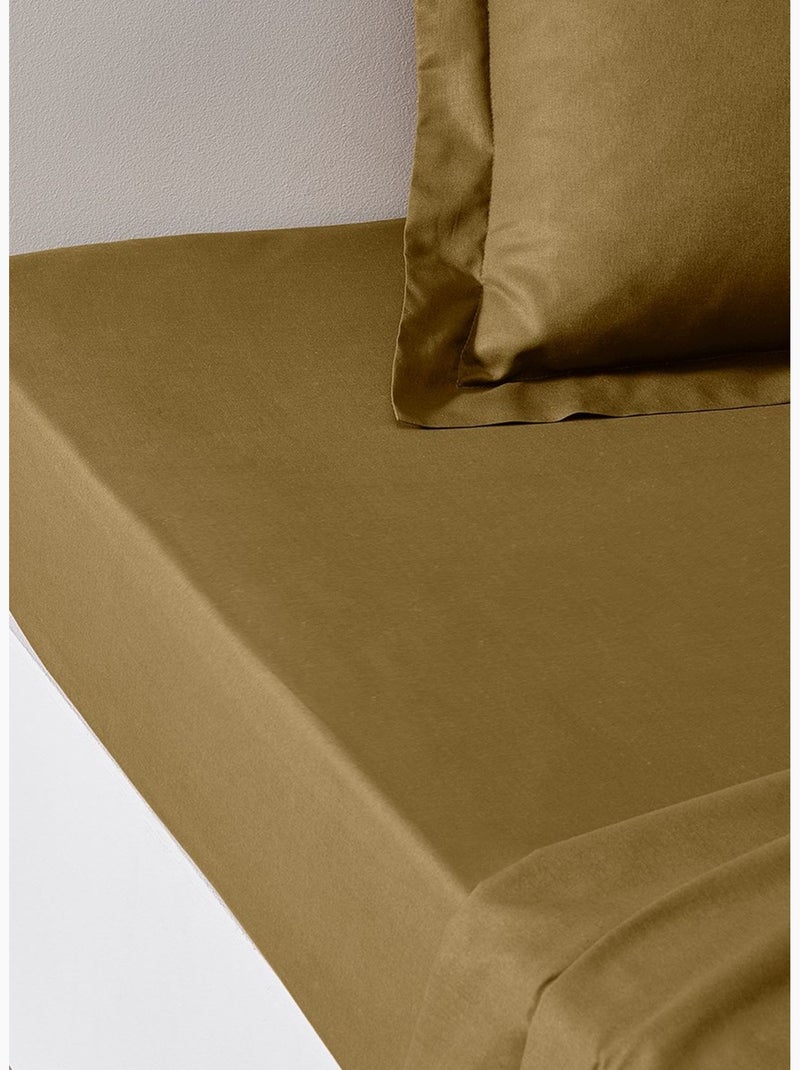 Drap housse 2 personnes uni coton grand bonnet ORGANIC Marron - Kiabi