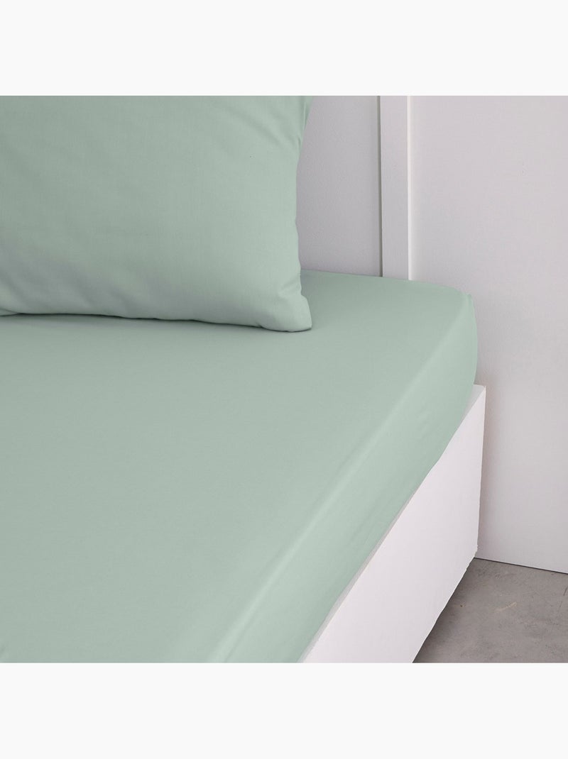 Drap housse 2 personnes uni coton grand bonnet ORGANIC Vert - Kiabi