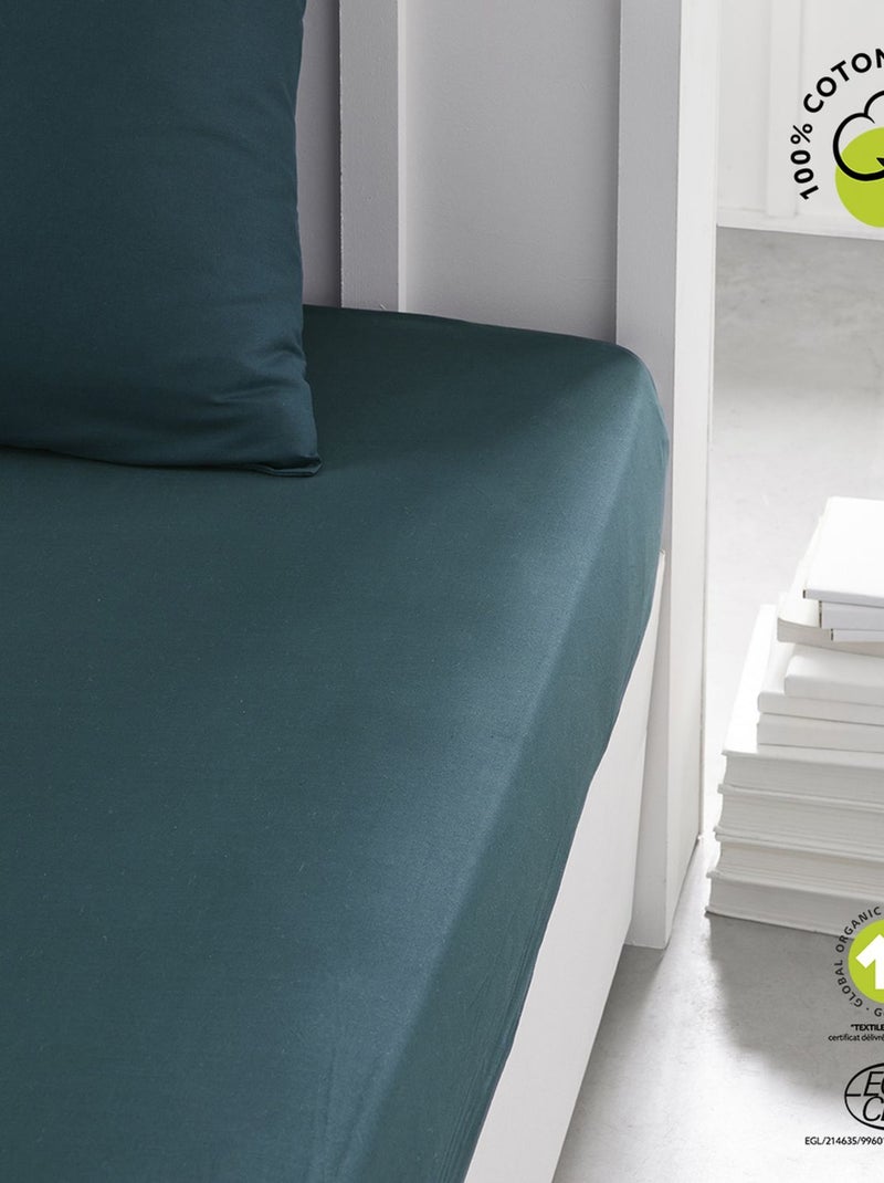 Drap housse 2 places en coton BIO taille king size Bleu - Kiabi