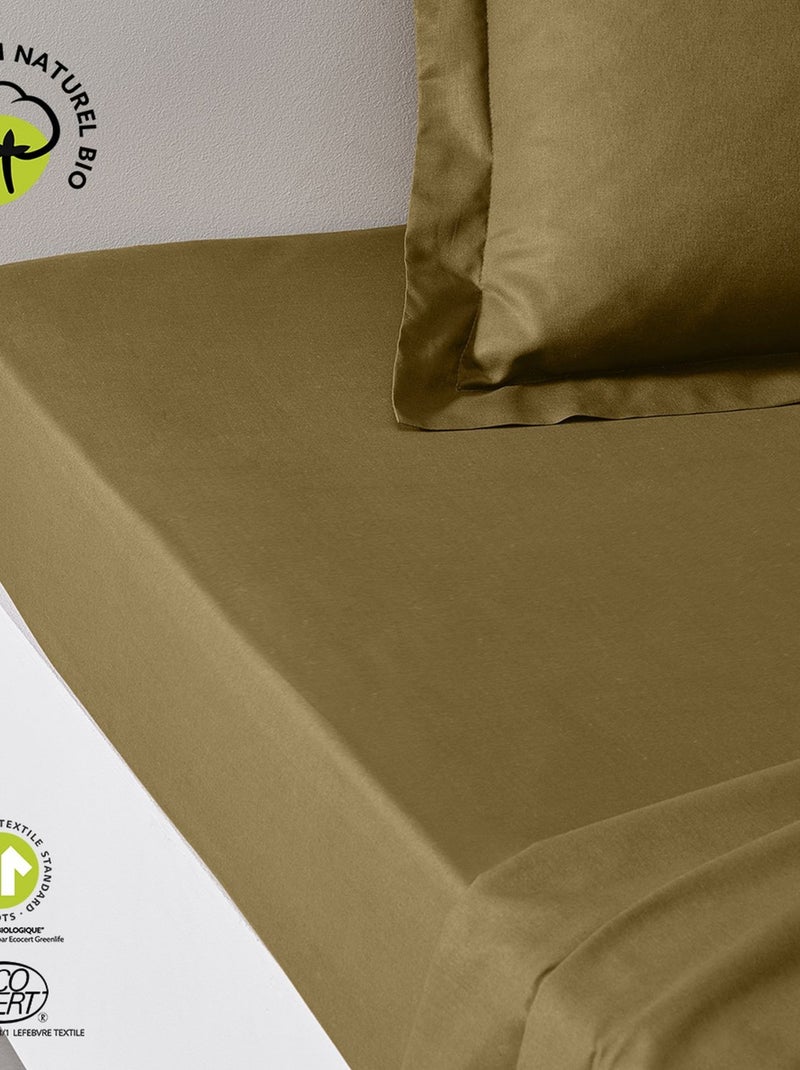 Drap housse 2 places en coton BIO taille king size Marron - Kiabi