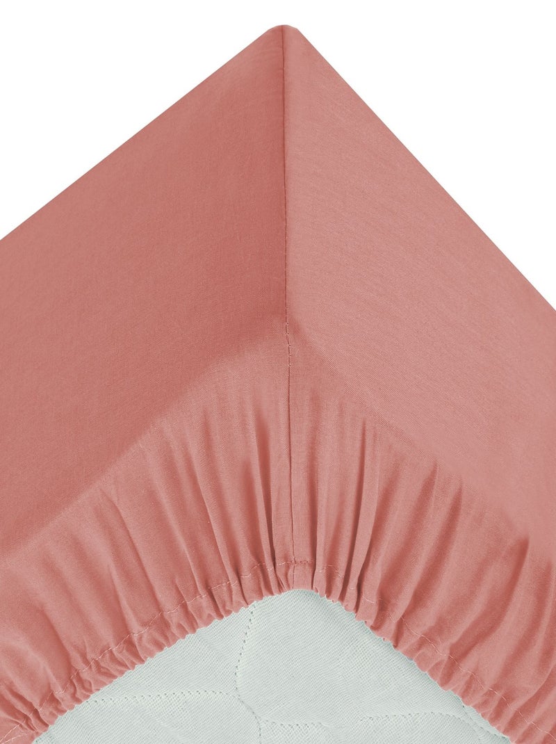 Drap housse 2 places en coton grande dimension CARINA Rose - Kiabi