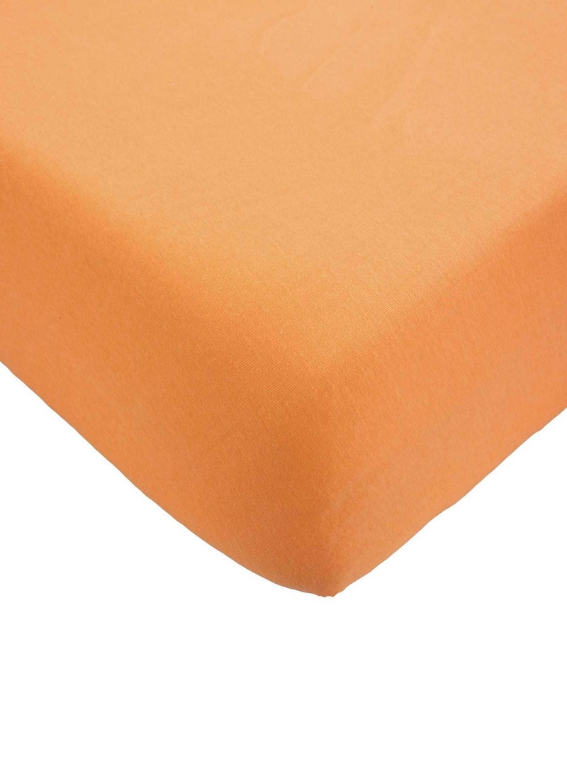 Drap housse Abricot - Kiabi