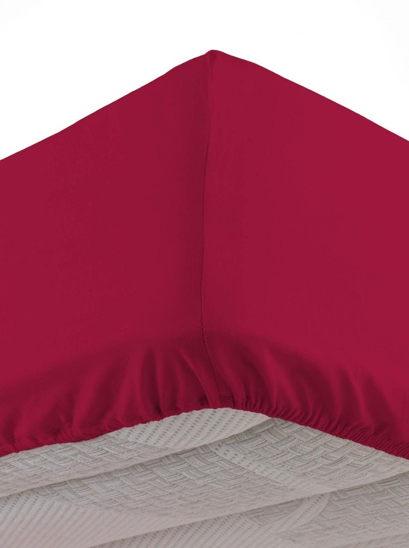Drap housse BIOLINA Bordeaux - Kiabi