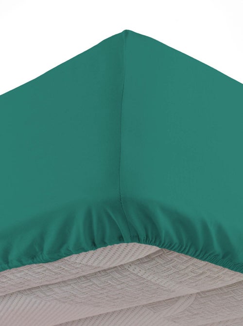 Drap housse BIOLINA - Kiabi