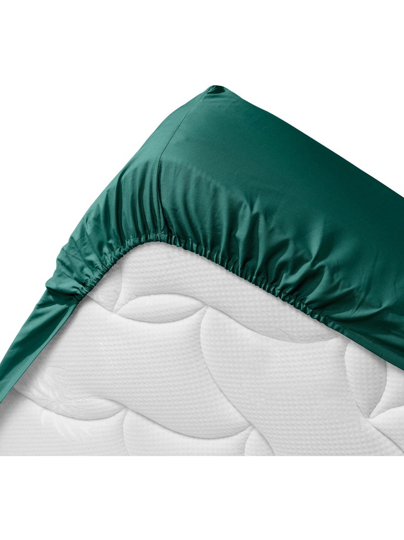 Drap housse Bioline emeraude Multicolore - Kiabi