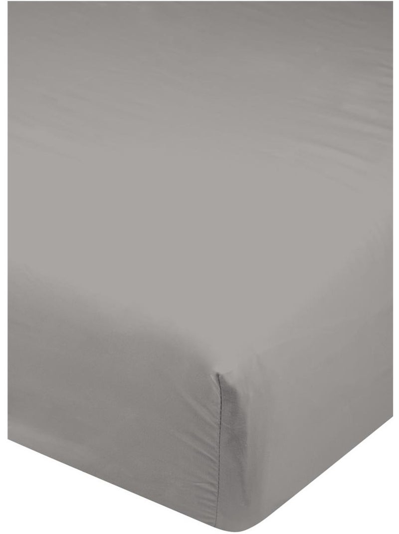 Drap housse Collection Cocon Taupe - Kiabi