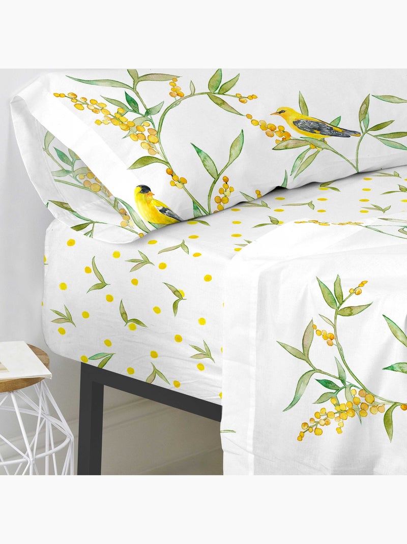 Drap-housse Corniglia "Happyfriday" Multicolore - Kiabi