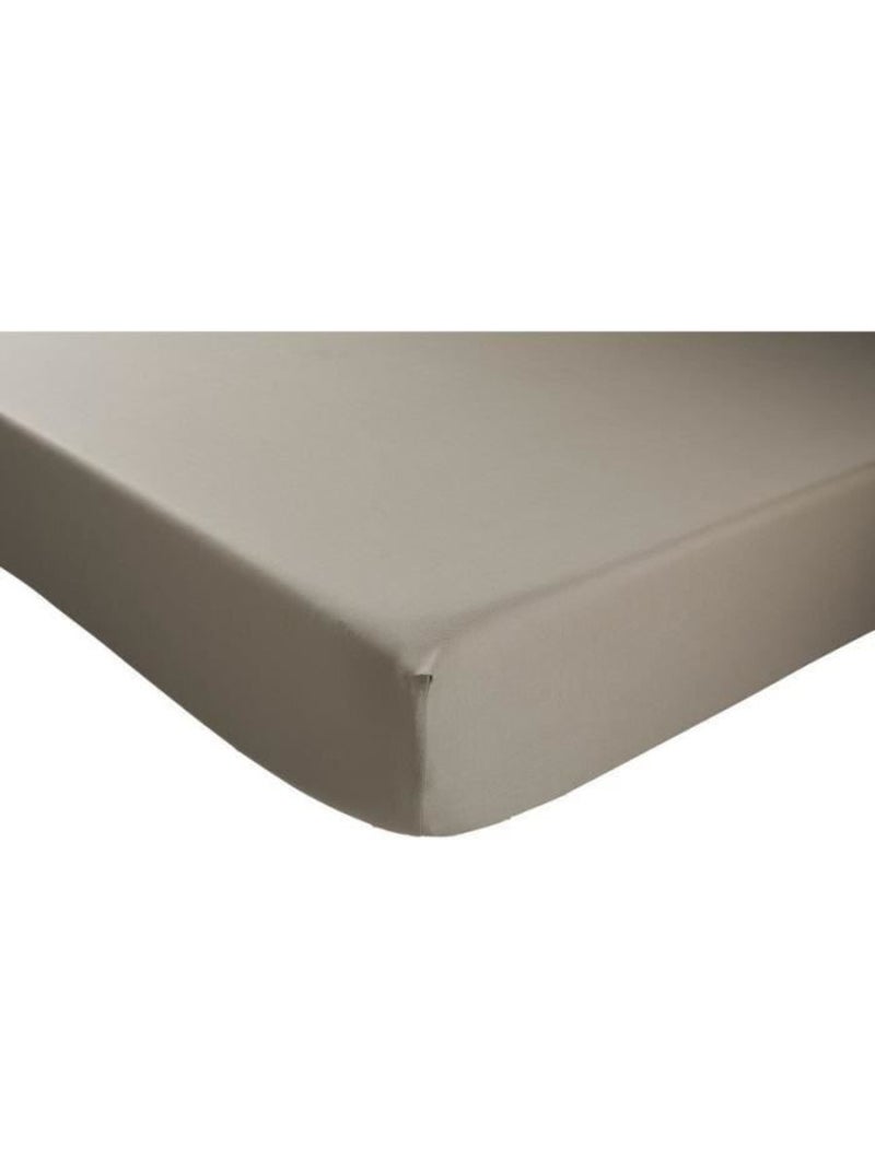 Drap Housse Coton - DODO - Antibactérien - 90 x190 cm - Taupe Marron - Kiabi