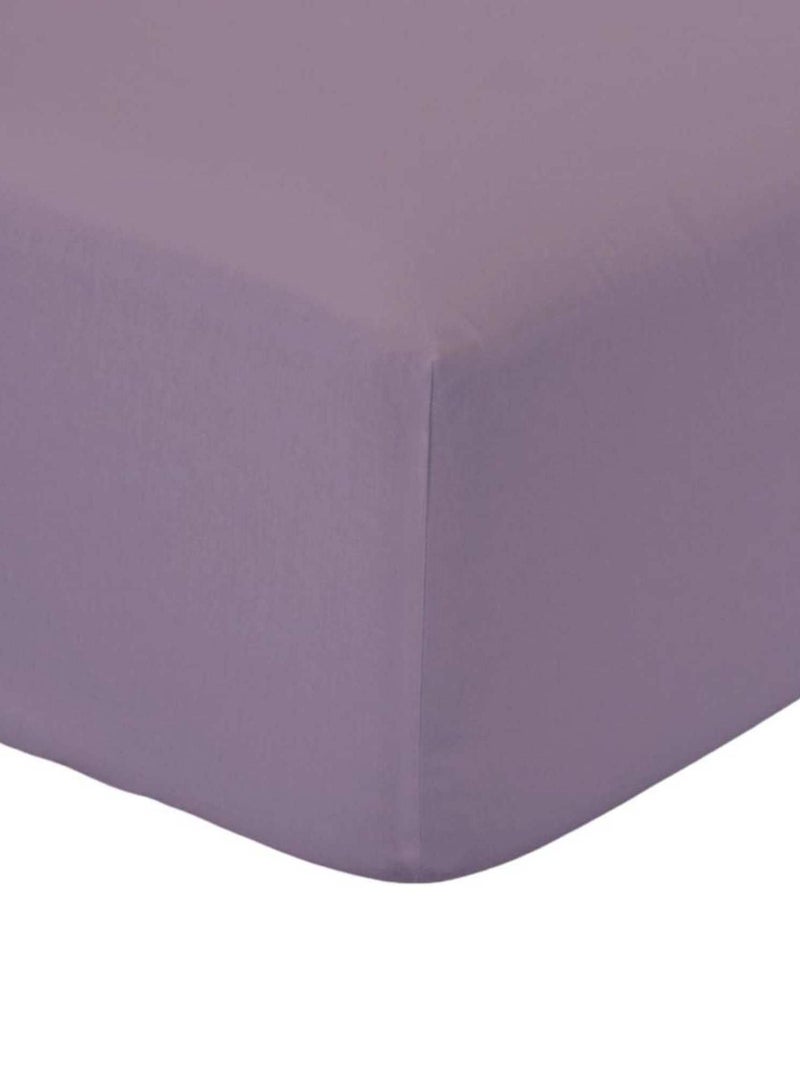 Drap housse coton 1 personne uni 57FILS Violet - Kiabi