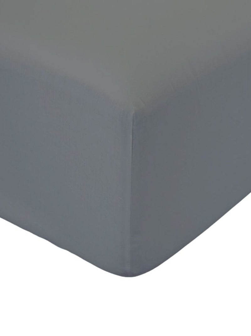 Drap housse coton 2 personnes uni 57FILS Gris - Kiabi