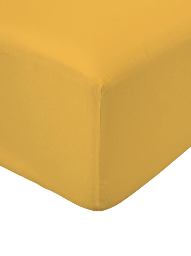 Drap housse coton 2 personnes uni 57FILS Jaune - Kiabi