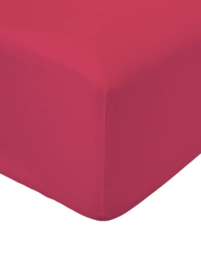 Drap housse coton 2 personnes uni 57FILS Rouge - Kiabi