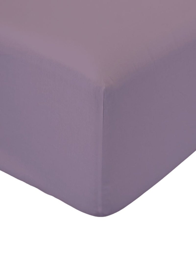 Drap housse coton 2 personnes uni 57FILS Violet - Kiabi