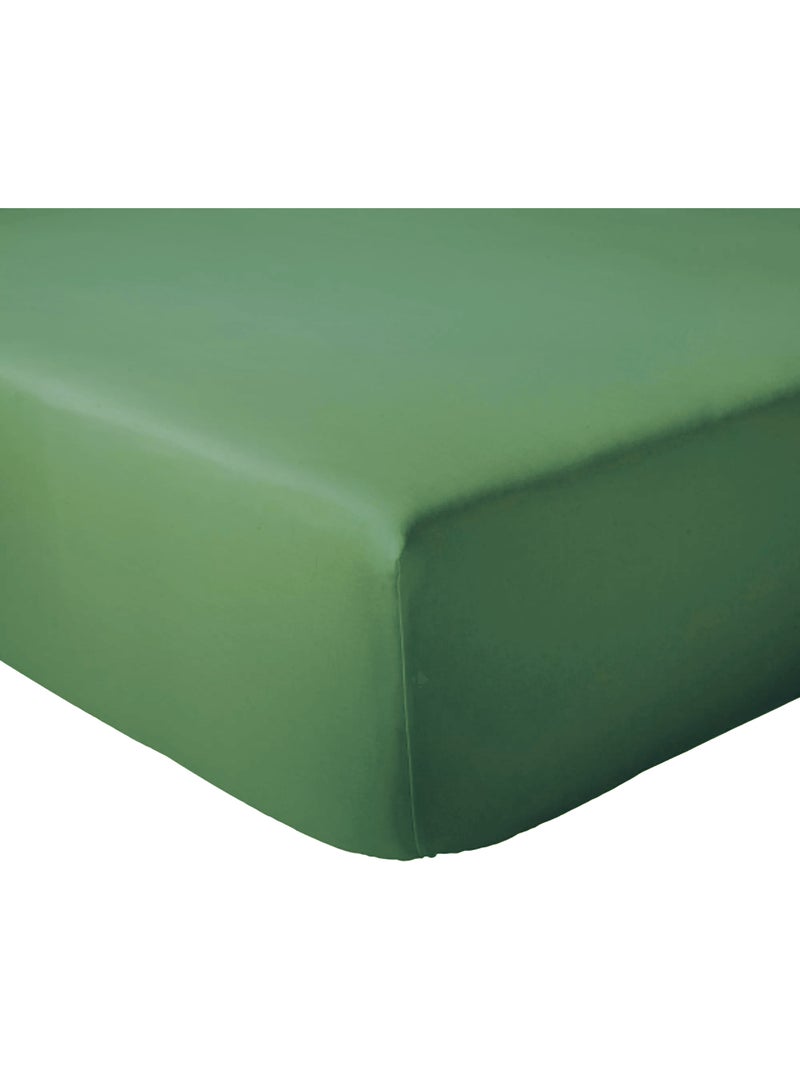 Drap housse coton EVASION Bonnet de 23 cm Vert chèvrefeuille - Kiabi