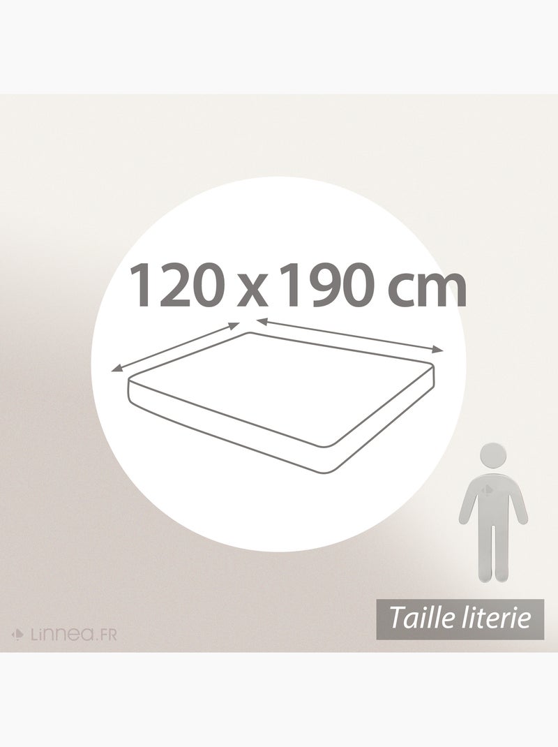 Drap housse coton EVASION Bonnet de 23 cm Vert chèvrefeuille - Kiabi