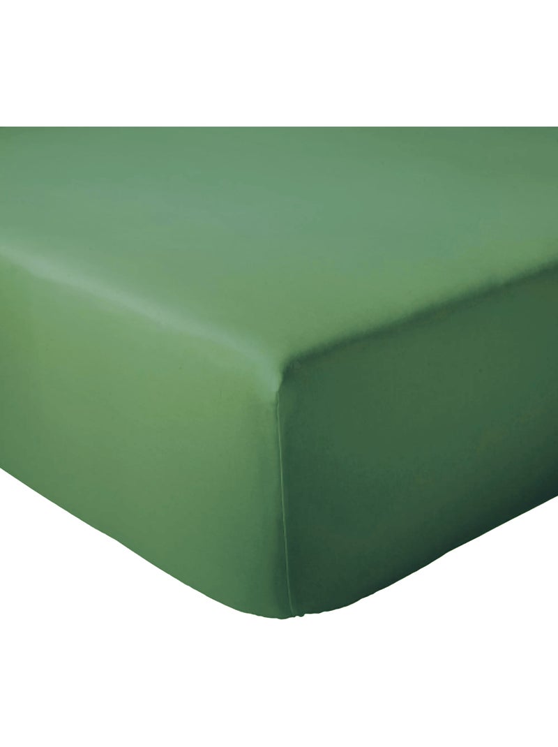 Drap housse coton EVASION Bonnet de 30 cm Vert chèvrefeuille - Kiabi