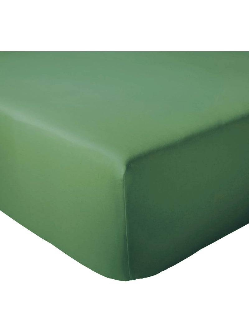 Drap housse coton EVASION Bonnet de 40 cm Vert chèvrefeuille - Kiabi