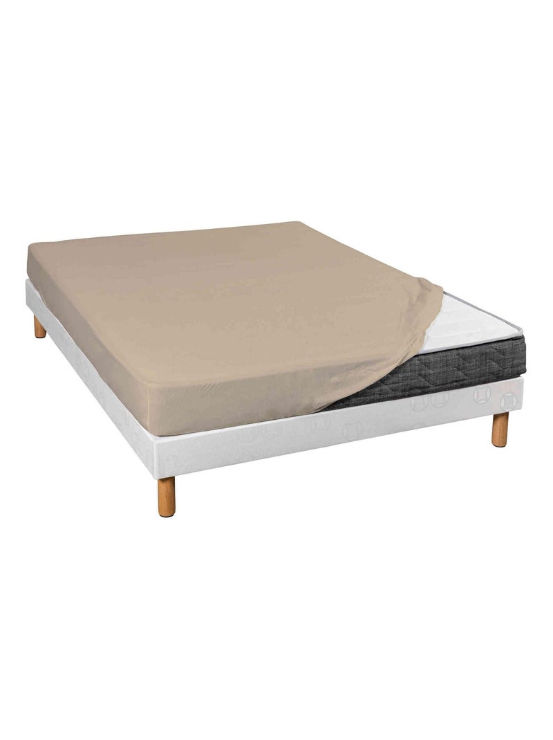 Drap housse coton jersey bonnet 30 (lot de 2) Beige - Kiabi