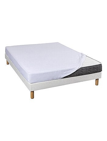 Drap housse coton jersey bonnet 30 (lot de 2)