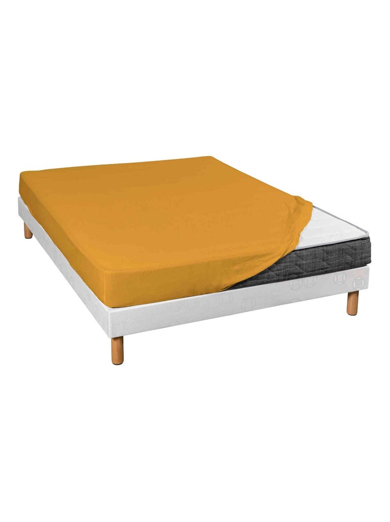 Drap housse coton jersey bonnet 30 (lot de 2) Jaune - Kiabi