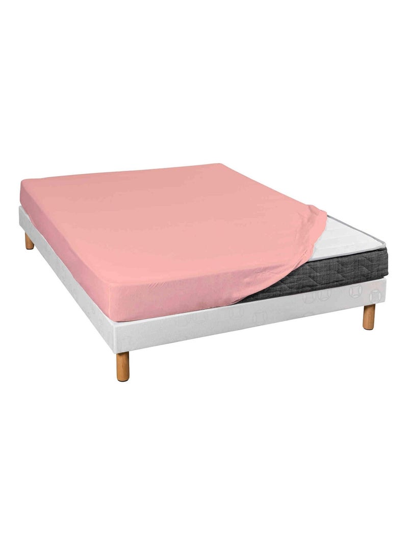 Drap housse coton jersey bonnet 30 (lot de 2) Rose - Kiabi