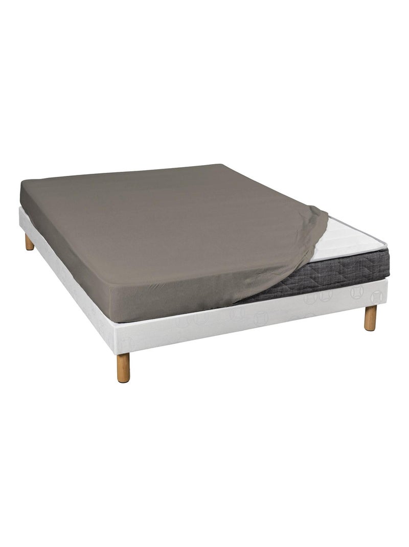 Drap housse coton jersey bonnet 30 (lot de 2) Taupe - Kiabi