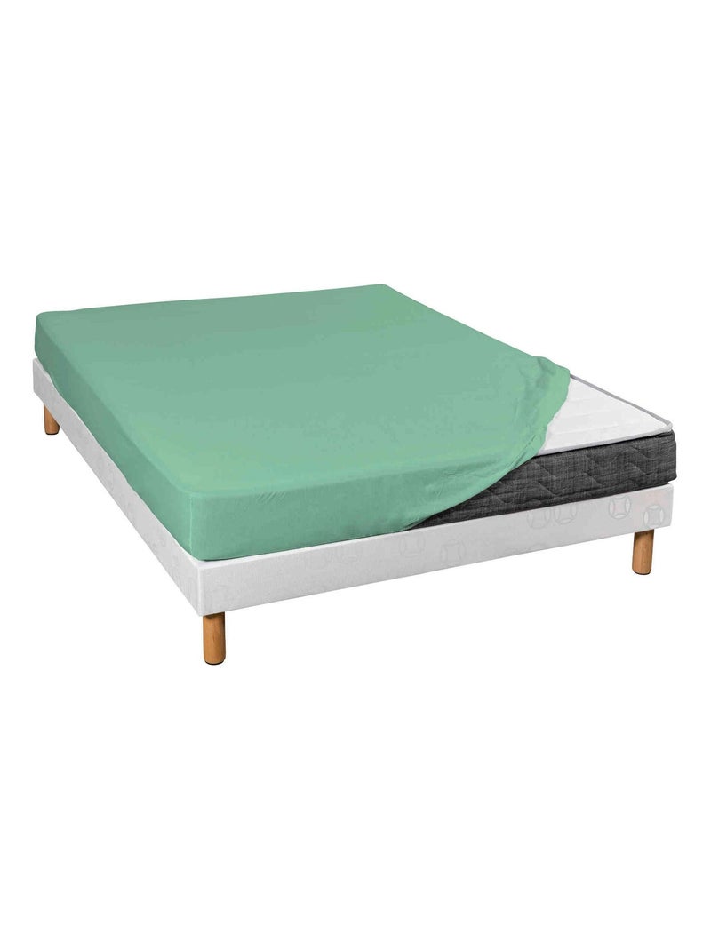 Drap housse coton jersey bonnet 30 (lot de 2) Vert - Kiabi