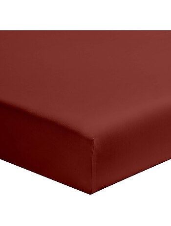 Drap housse coton jersey (lot de 2)