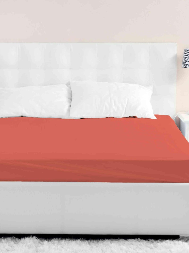 Drap housse coton jersey (lot de 2) Orange - Kiabi